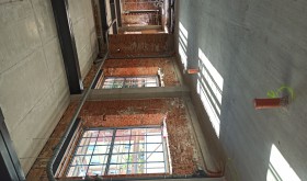 CZERWIEC 2021 - GLICERYNOWNIA